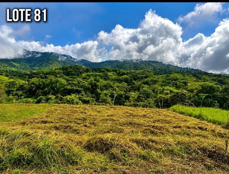 Grundstück in Chontales de Osa – Foto 1 von 9