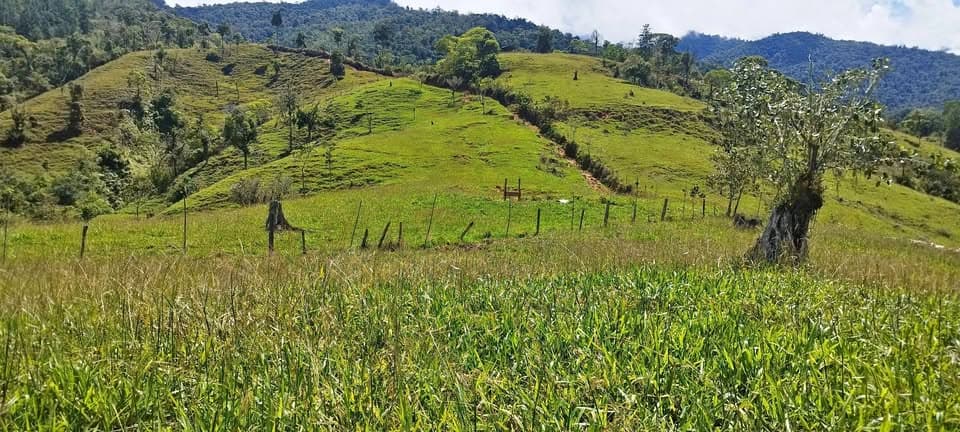 Chucuyo de Rivas – photo 1 sur 9