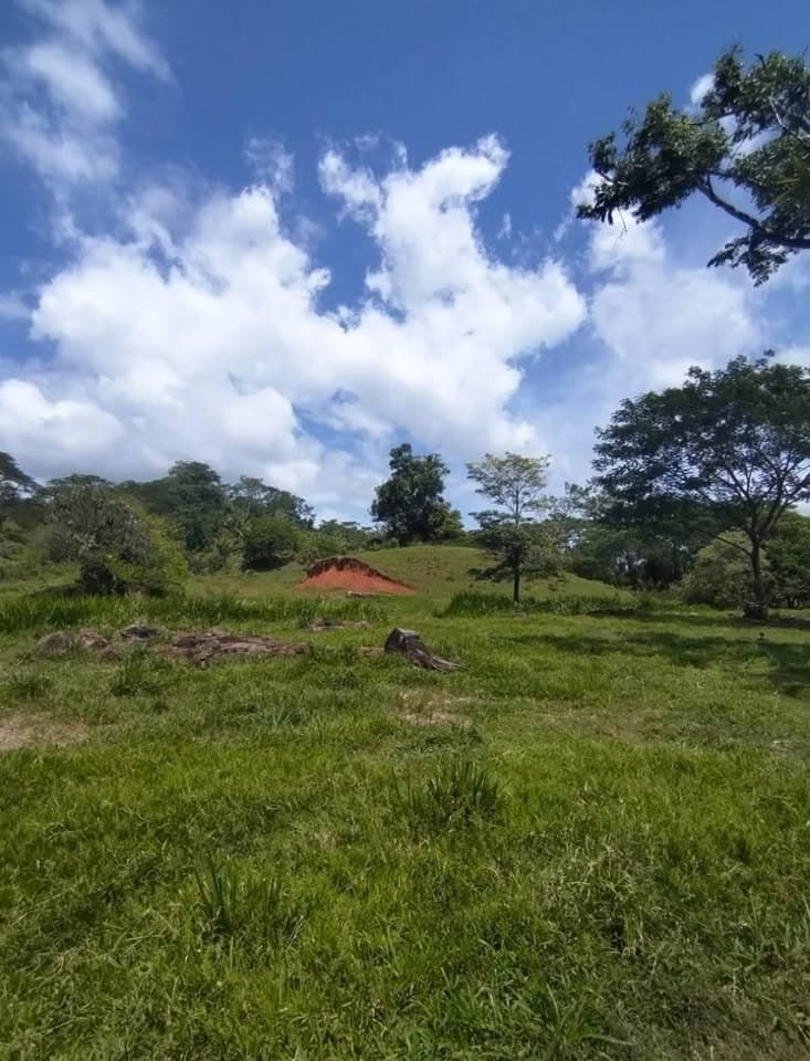 Domaine à Naranjito de Quepos – photo 1 sur 25